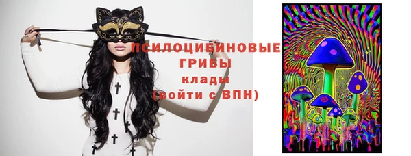 тгк Аркадак