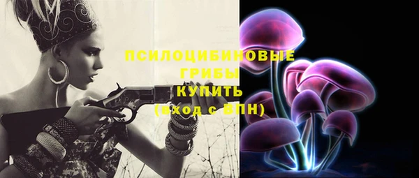 стафф Армянск