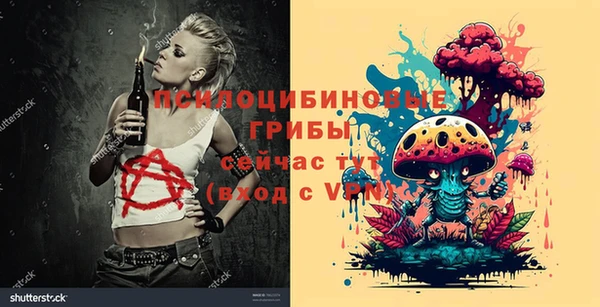 МДПВ Арсеньев