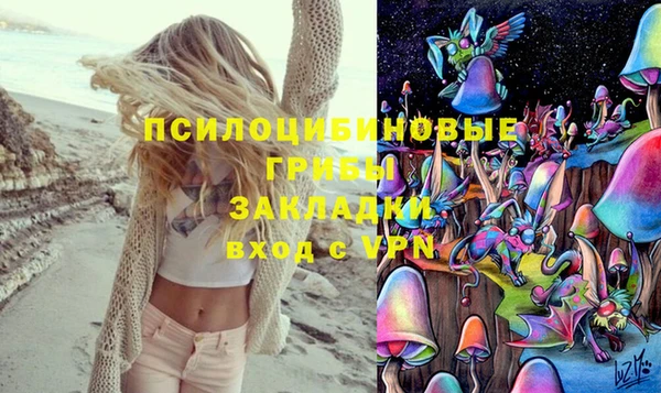 тгк Аркадак