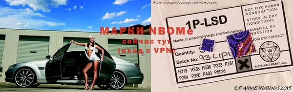 стафф Армянск