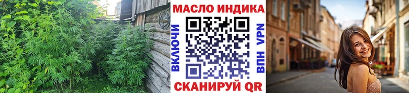 где можно купить   Чистополь  ТГК концентрат 