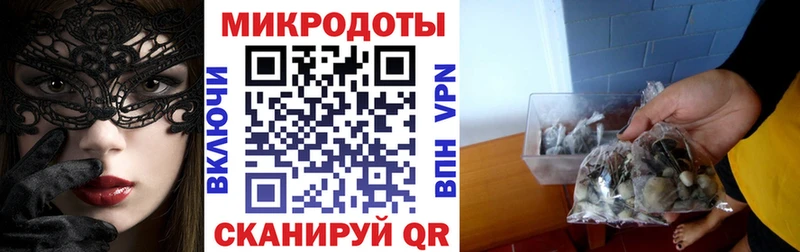 Галлюциногенные грибы мухоморы  наркотики  Чистополь 